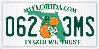 FL license plate 0623MS