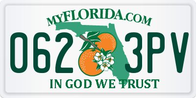 FL license plate 0623PV