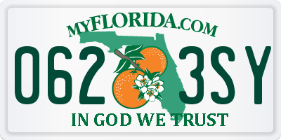 FL license plate 0623SY