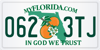 FL license plate 0623TJ