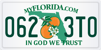 FL license plate 0623TO