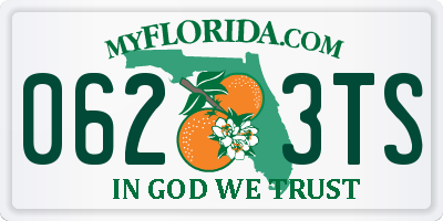 FL license plate 0623TS