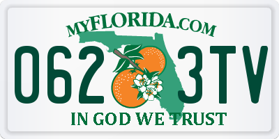 FL license plate 0623TV
