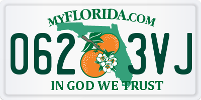 FL license plate 0623VJ