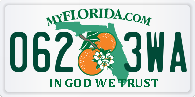 FL license plate 0623WA