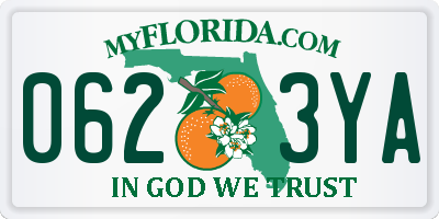 FL license plate 0623YA