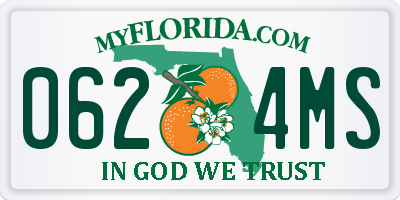 FL license plate 0624MS