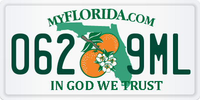 FL license plate 0629ML