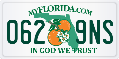 FL license plate 0629NS