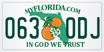 FL license plate 0630DJ