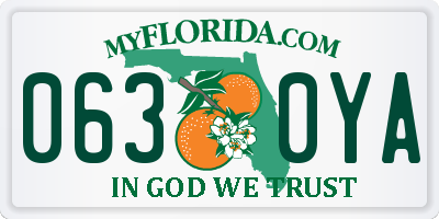 FL license plate 0630YA