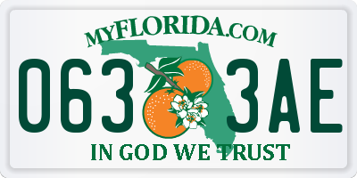 FL license plate 0633AE