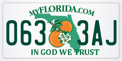 FL license plate 0633AJ