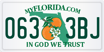 FL license plate 0633BJ