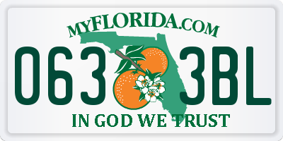 FL license plate 0633BL