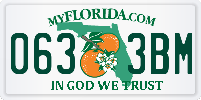 FL license plate 0633BM