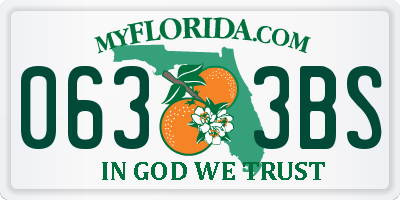 FL license plate 0633BS