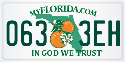 FL license plate 0633EH