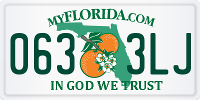 FL license plate 0633LJ