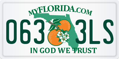 FL license plate 0633LS