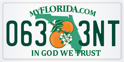 FL license plate 0633NT