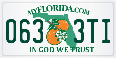 FL license plate 0633TI