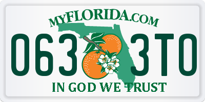 FL license plate 0633TO