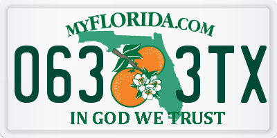 FL license plate 0633TX
