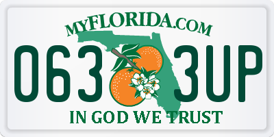 FL license plate 0633UP
