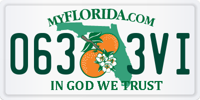 FL license plate 0633VI