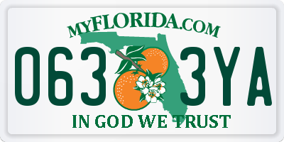 FL license plate 0633YA