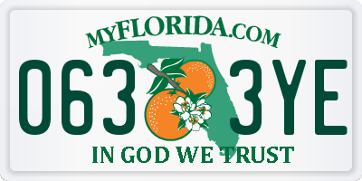 FL license plate 0633YE