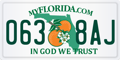 FL license plate 0638AJ