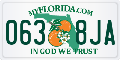 FL license plate 0638JA