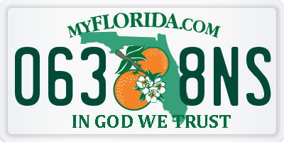 FL license plate 0638NS