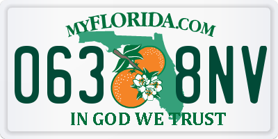 FL license plate 0638NV
