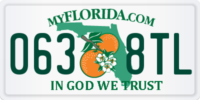 FL license plate 0638TL
