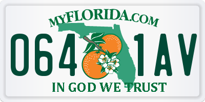FL license plate 0641AV