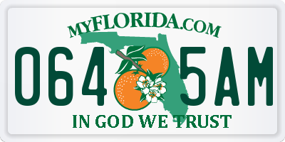 FL license plate 0645AM