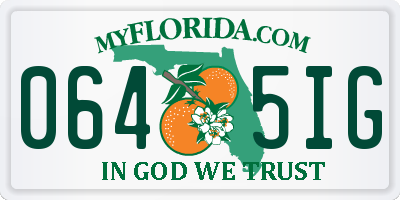 FL license plate 0645IG