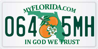 FL license plate 0645MH