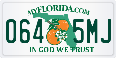 FL license plate 0645MJ