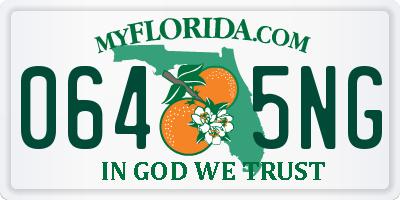 FL license plate 0645NG