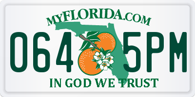 FL license plate 0645PM