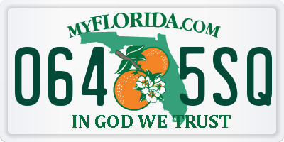 FL license plate 0645SQ