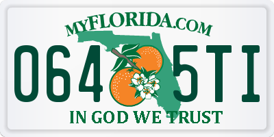 FL license plate 0645TI