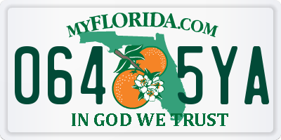 FL license plate 0645YA