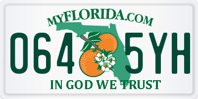 FL license plate 0645YH