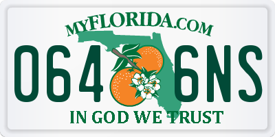 FL license plate 0646NS