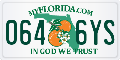 FL license plate 0646YS